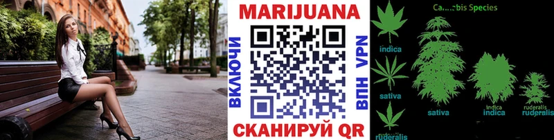 Канабис сатива  Купить  Буинск 